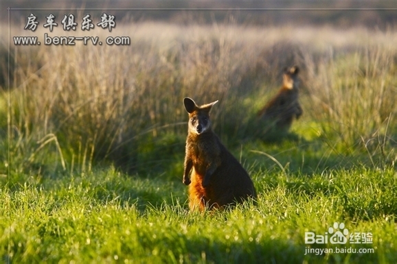 澳大利亚墨尔本旅游贴士