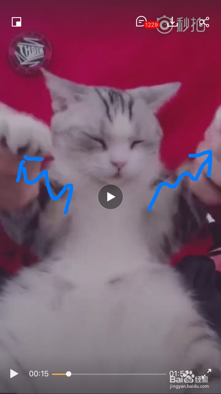 海草舞舞蹈教程分解动作