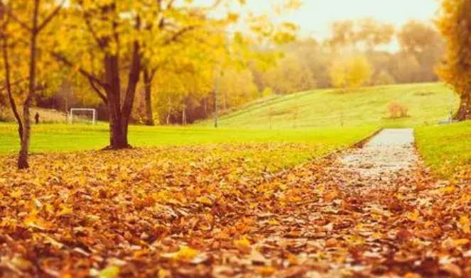 拾秋是什么意思