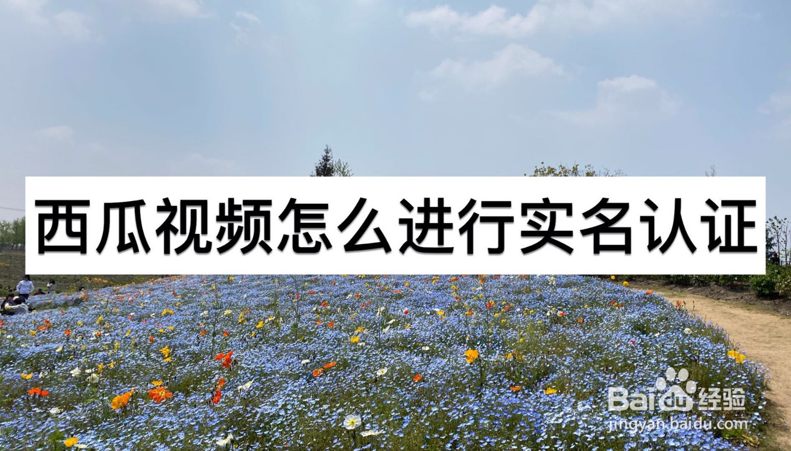 西瓜视频怎么进行实名认证
