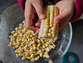 黄金玉米烙，好吃