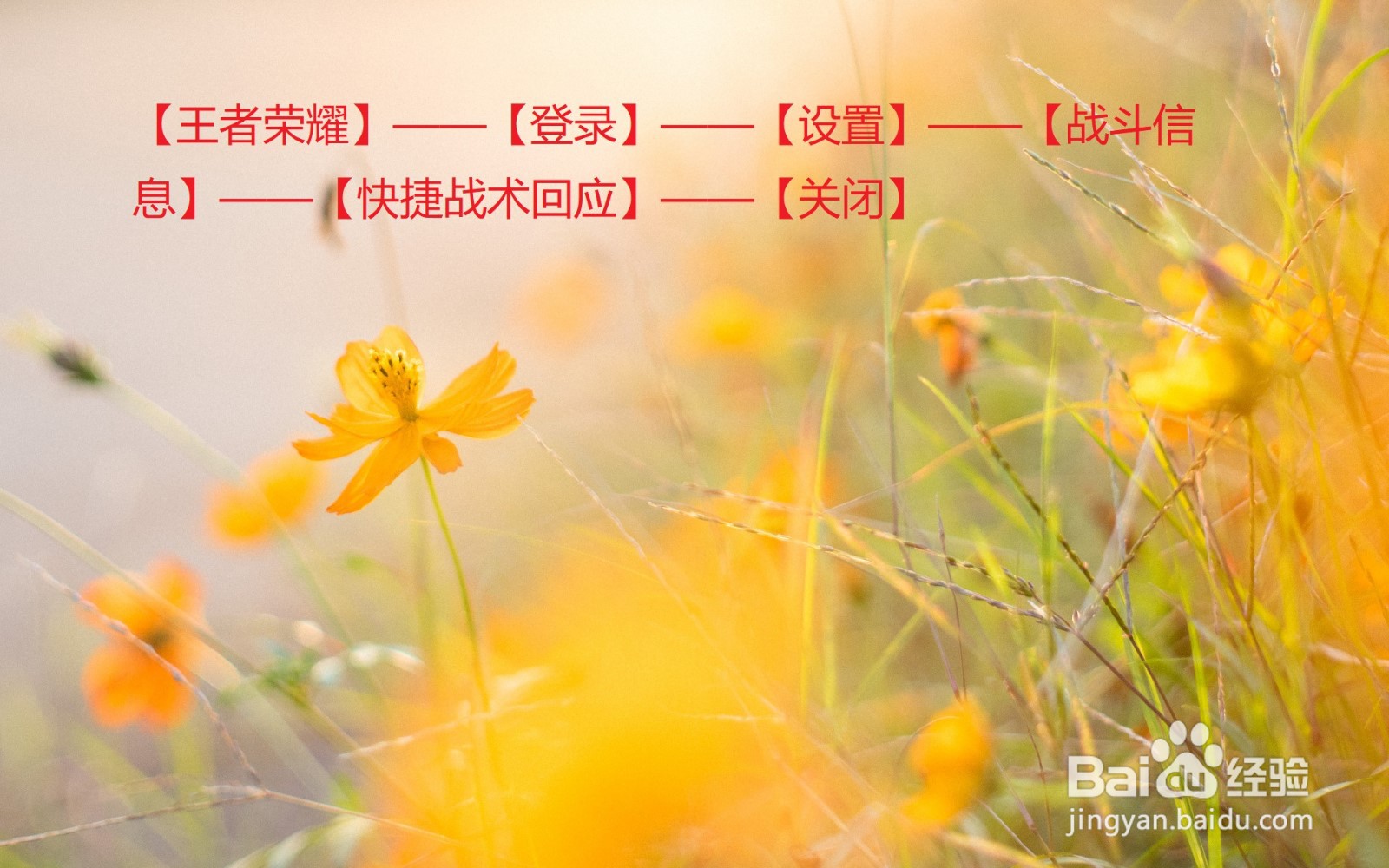 王者荣耀中怎么关闭快捷战术回应？