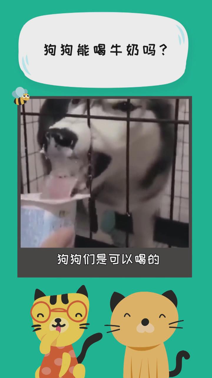 狗狗能喝牛奶吗