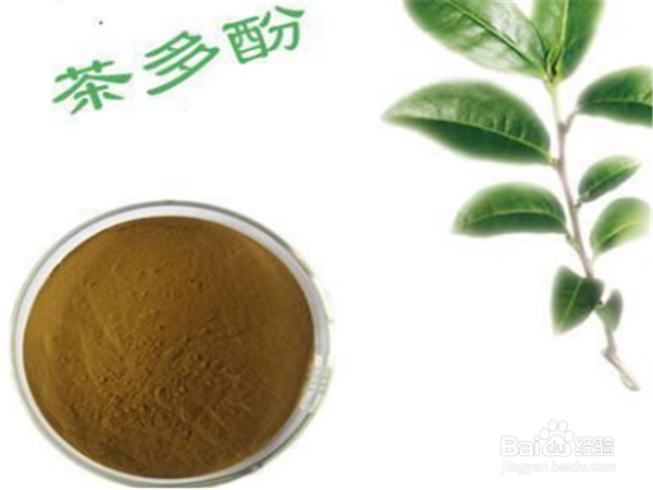 如何正确地喝茶
