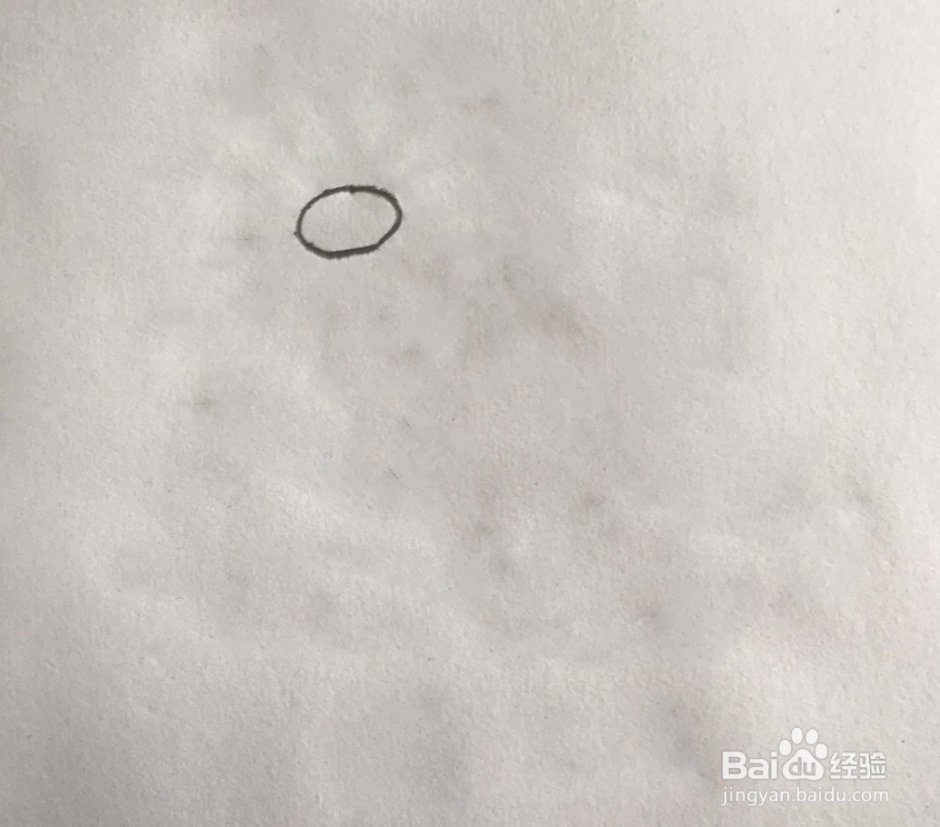 【简笔画】蒲公英的分步画法