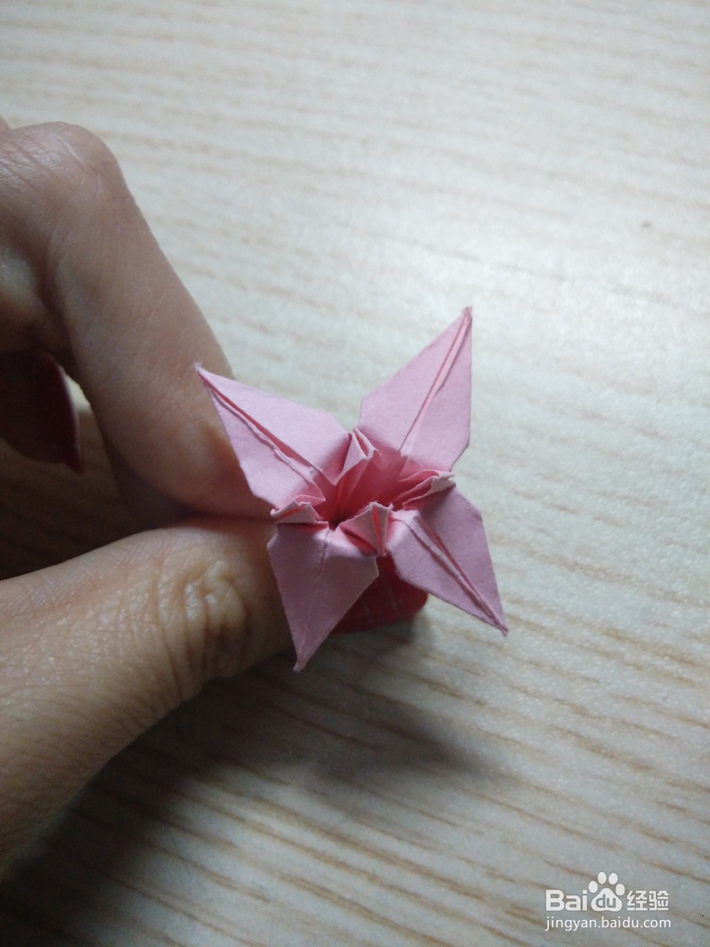 兰花折纸图解教程