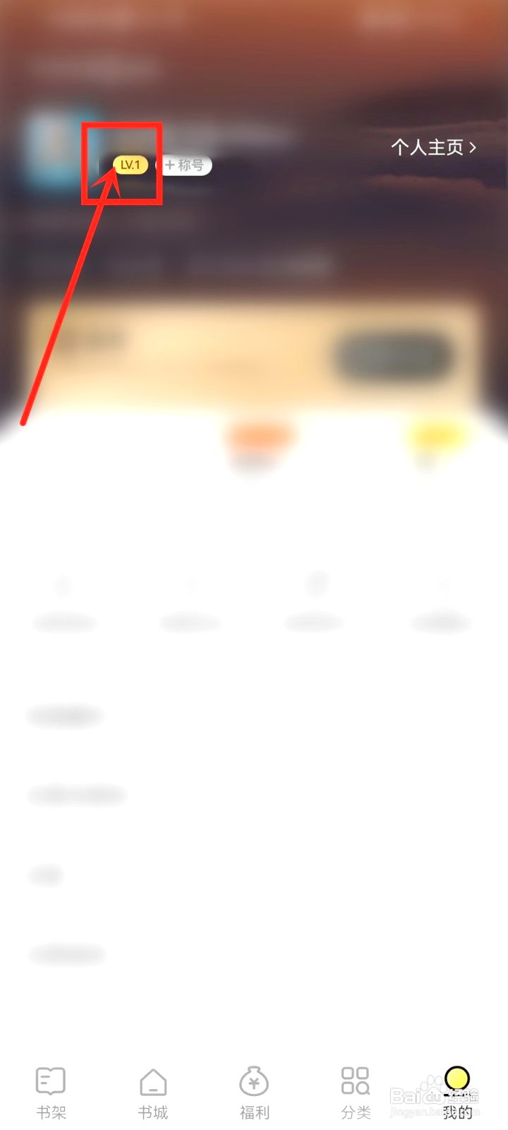 得间小说咋样查看等级声望明细