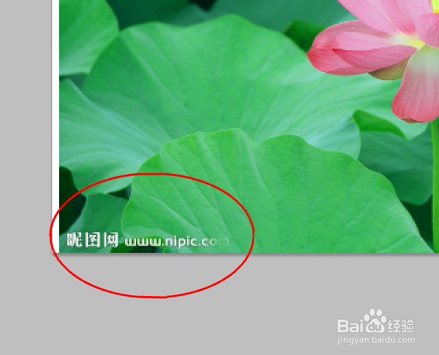 Ps如何轻松去水印