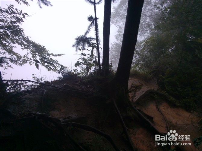 成都清明节旅游攻略