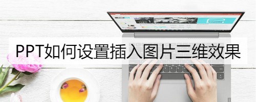 PPT如何设置插入图片三维效果