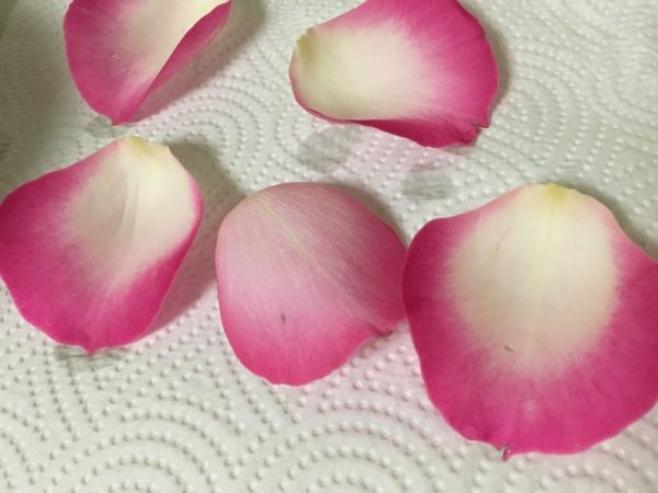 糖霜玫瑰奶油蛋糕