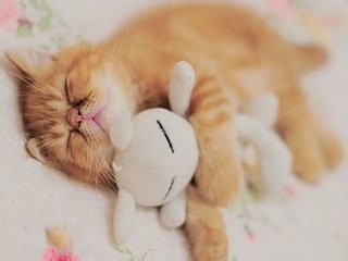 夜晚不再可怕，教你怎样克服失眠（失眠者必看）