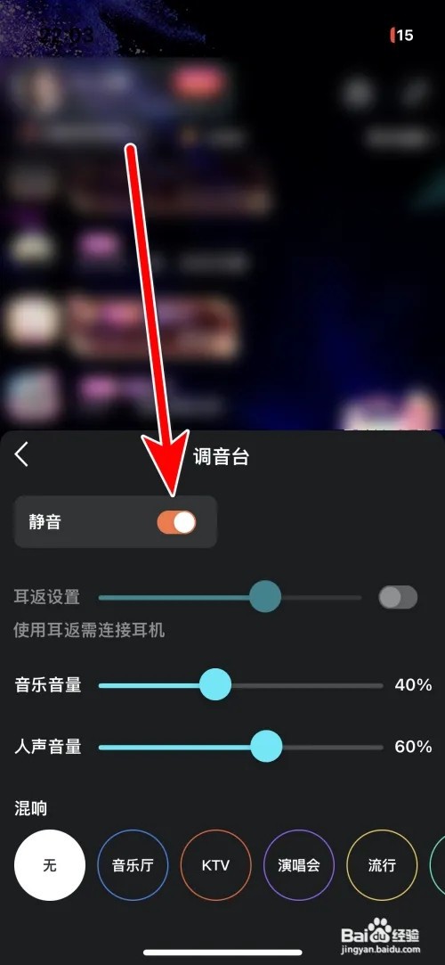 豚豚语音直播间静音如何设置