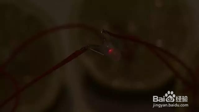 科学实验及步骤