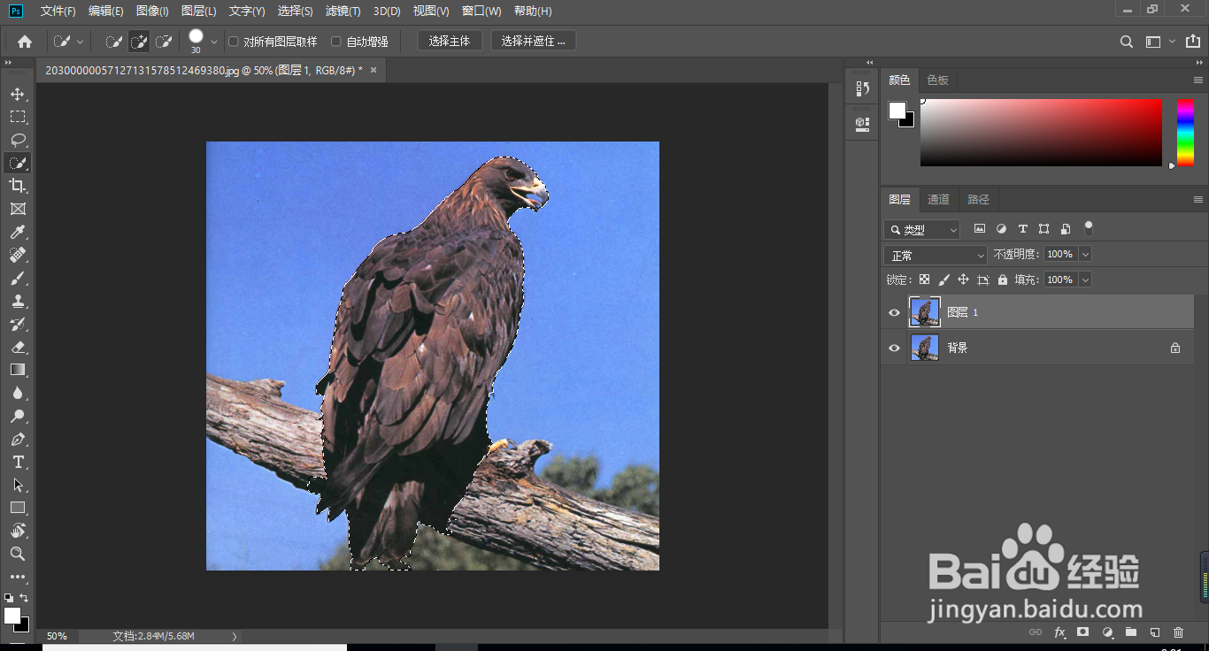 ps抠图，最新最快速的抠图技巧