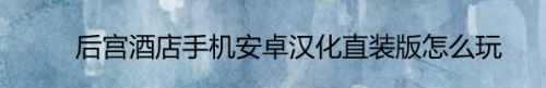 后宫酒店手机安卓汉化直装版怎么玩