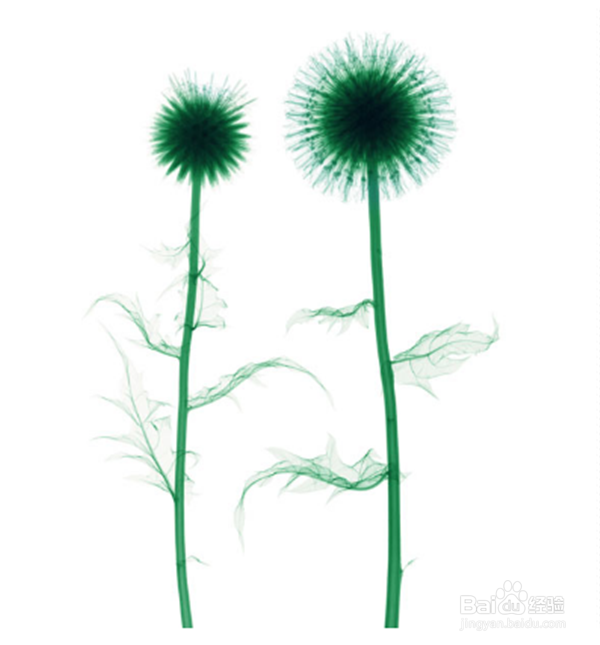 如何与陌生人打交道？