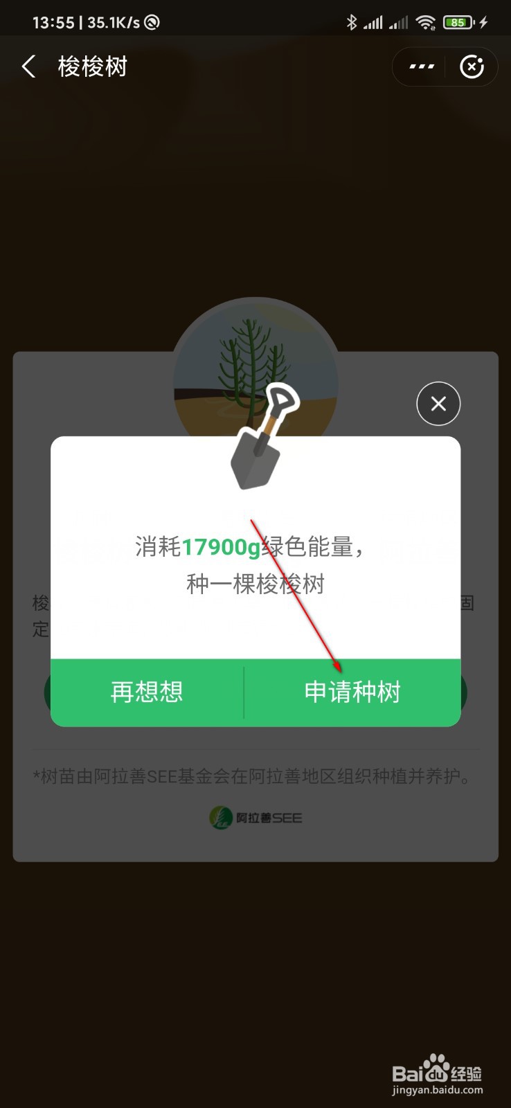 支付宝怎么种树