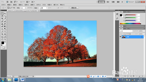PS对复杂图片抠图的小技巧