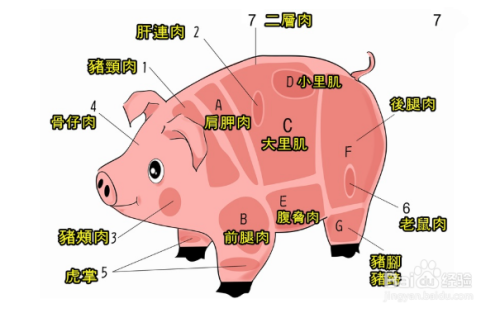 猪月牙肉是什么部位图解