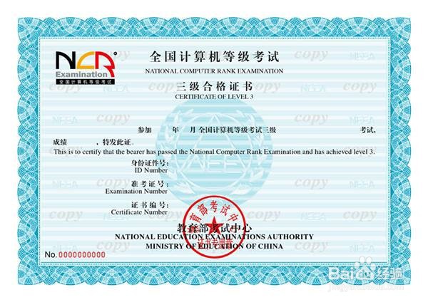 计算机二级水平怎么填