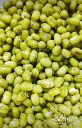 绿豆芽怎么生粗壮又白