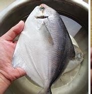 酱焖鲳鱼怎么做更美味