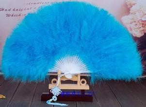手工制作羽毛扇子、舞蹈扇