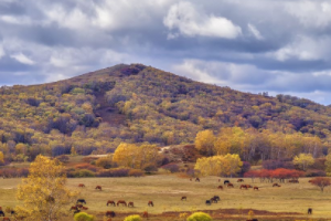 木兰围场怎么游玩？