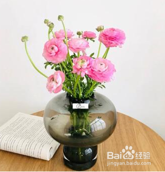 扶郎花怎么水养