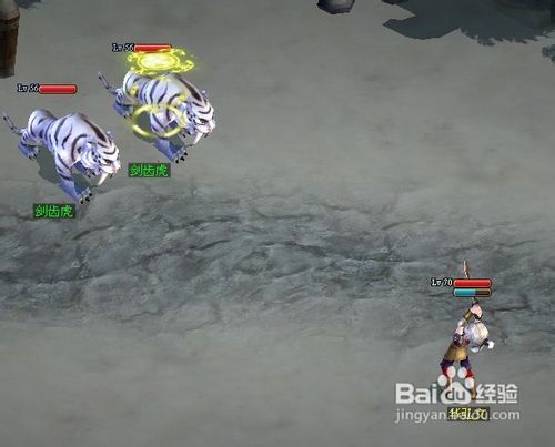 魔与道宠物简介加点养成攻略