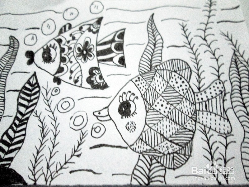 黑白线描画《美丽的鱼儿》的作画步骤