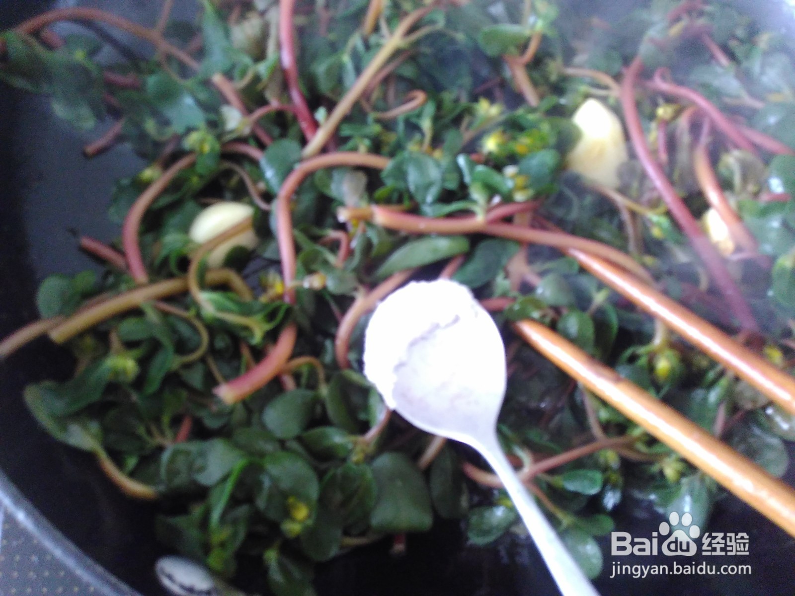 这样素炒马齿苋，超好吃