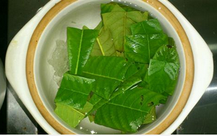 教你如何用枇杷叶治咳嗽