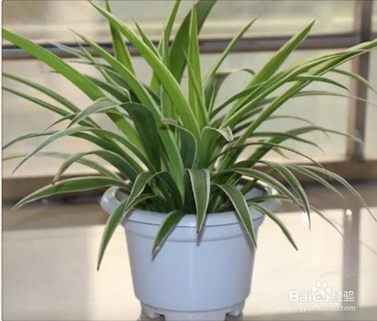 不同方法不同功效除甲醛