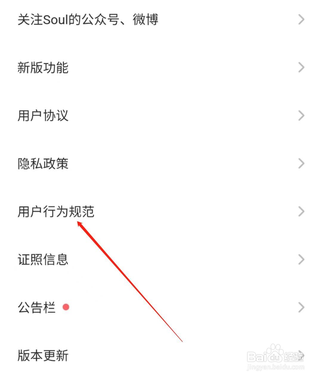Soul软在哪查看用户行为规范