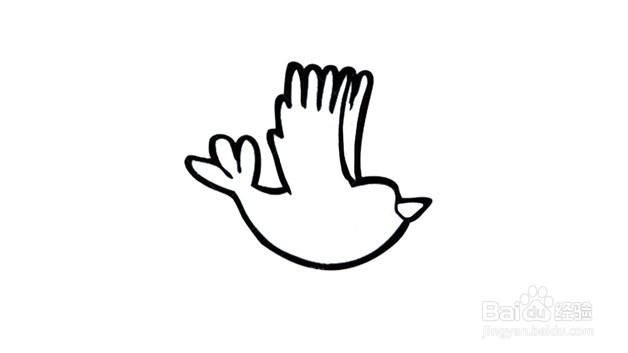 飞翔的信鸽简笔画