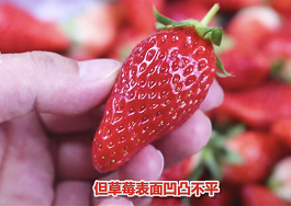 清洗草莓的正确方法,让脏东西全部跑出来