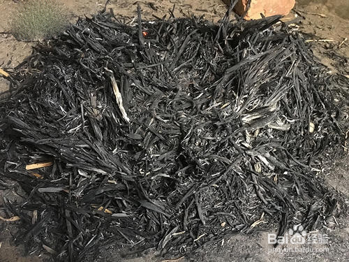 贵州灰粽子的做法