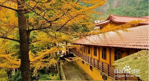 领略川藏线上的美丽风景