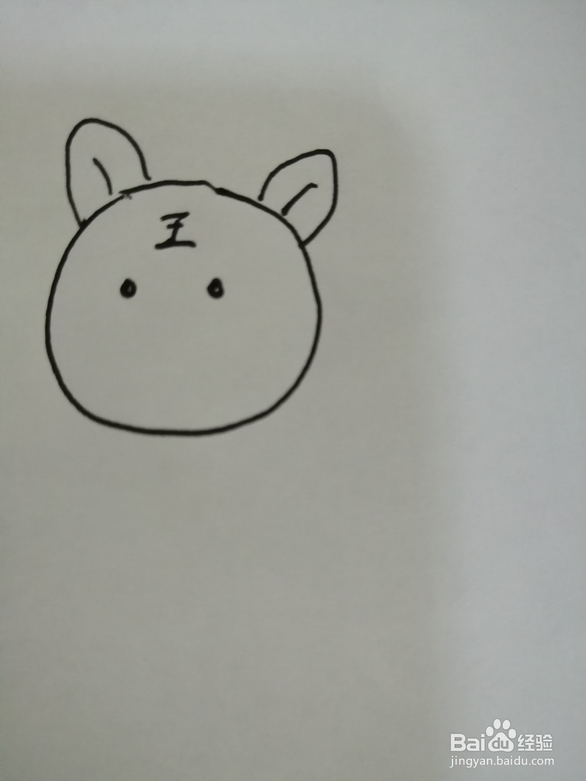 可爱的小老虎怎么画