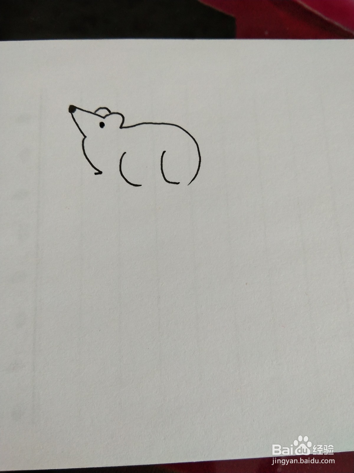 老鼠最简单的画法