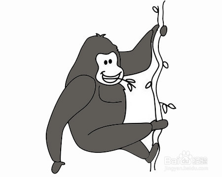 爬藤蔓的猩猩的简笔画