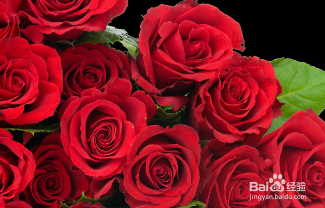 2019年情人节如何选购玫瑰花送情人