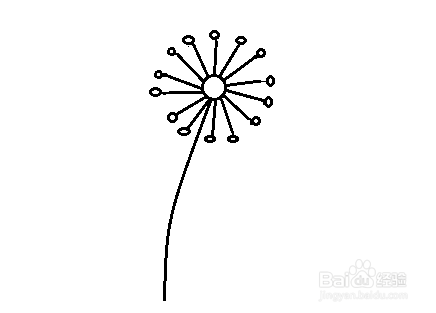 简笔画-如何画菊花的简笔画