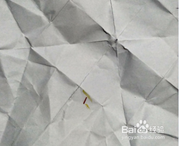 如何鉴别真假藏红花