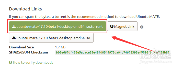 如何制作UbuntuMate启动盘、系统安装盘