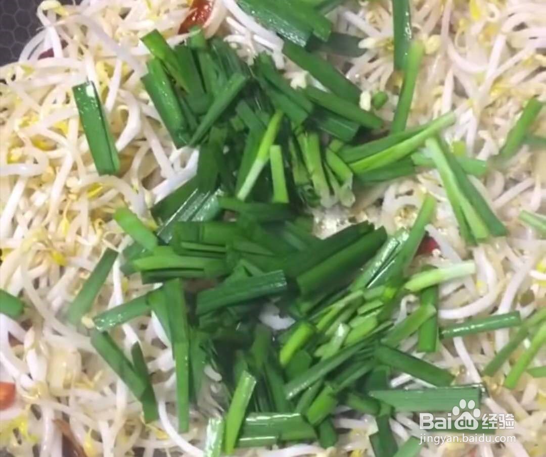 韭菜炒绿豆芽