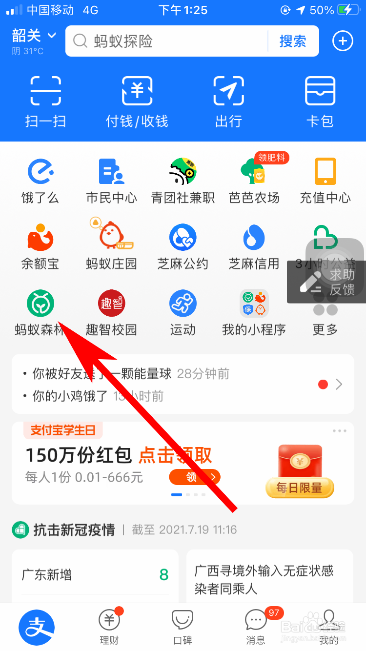 支付宝怎么进入蚂蚁庄园喂养小鸡