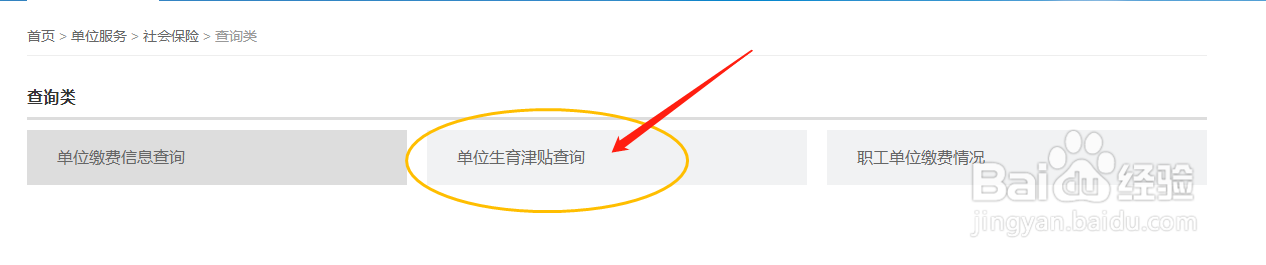 公司如何查看企业单位津贴缴纳情况